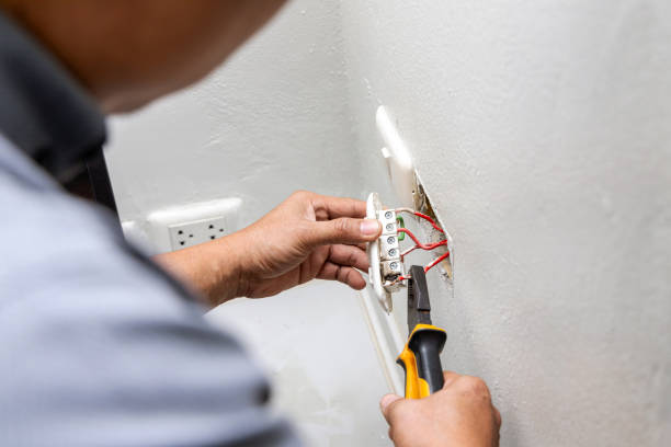 Best Electric Panel Repair  in Bogata, TX
